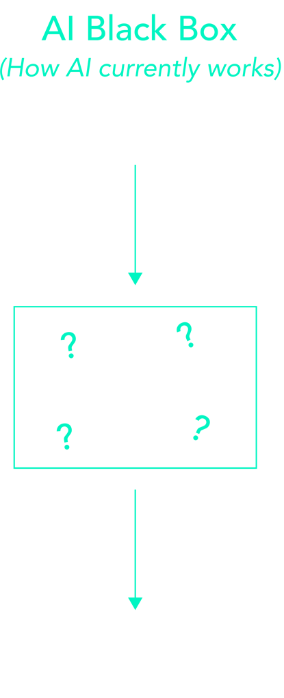 AI Black Box